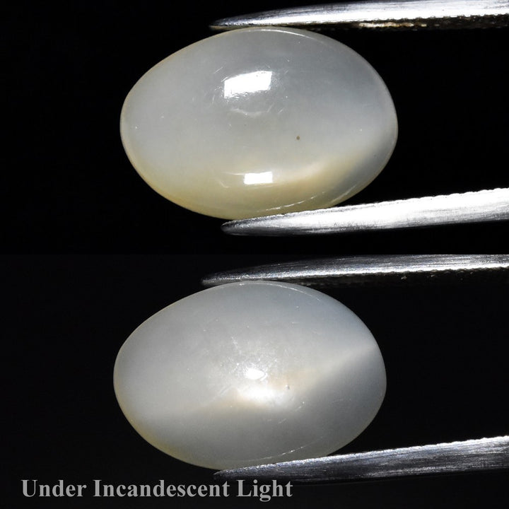 Piedra de Luna Ojo de Gato 9.0ct Oval Africa - GS-GEM-077 PREVENTA