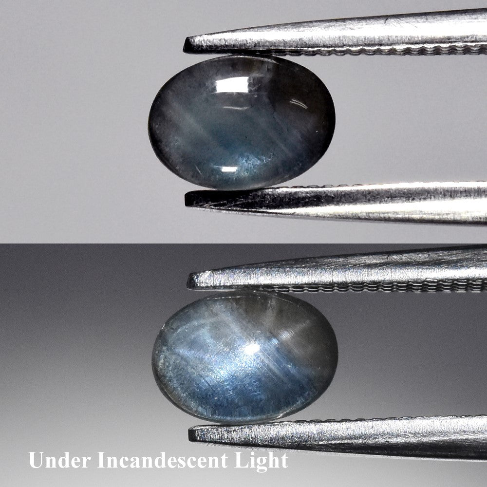 Zafiro Estrella 0.68ct Oval Sin especificar - GS-GEM-082 PREVENTA