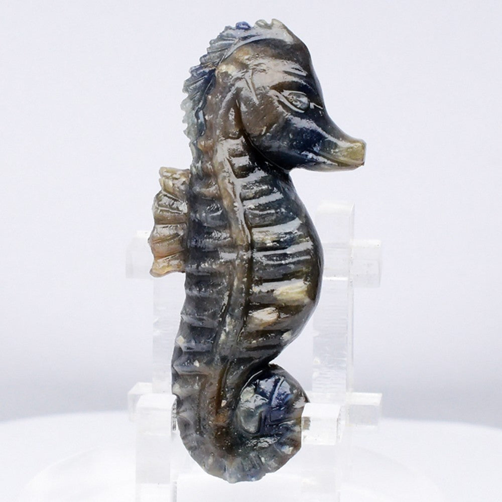 Zafiro Tallado — Caballito de mar (escultura) 50.71ct — Pieza Única Coleccionable