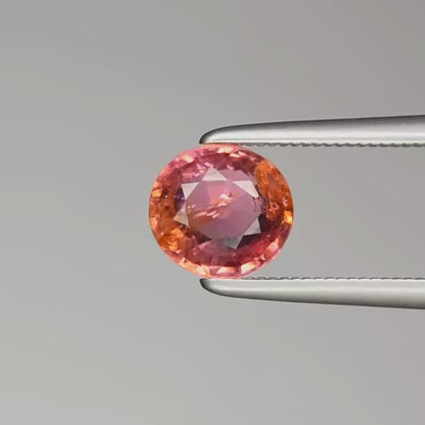 Video GS-GEM-081 - Gold Shield gema natural