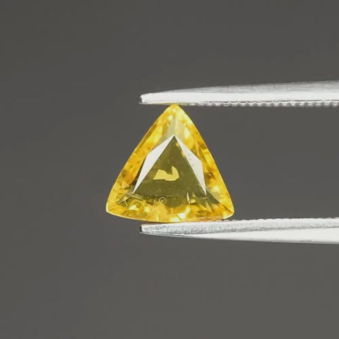 Video GS-GEM-076 - Gold Shield gema natural