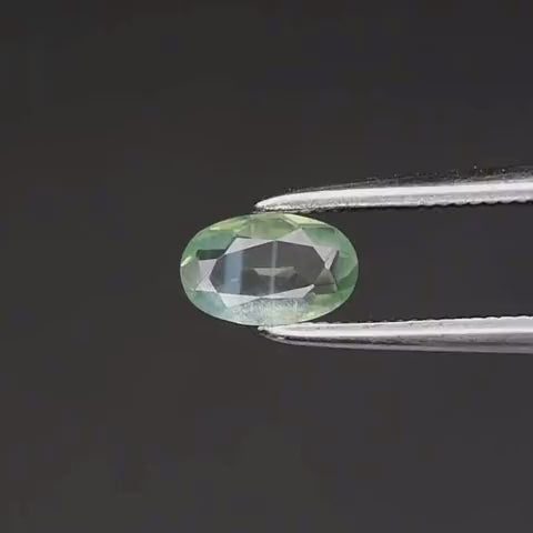 Video GS-GEM-094 - Gold Shield gema natural